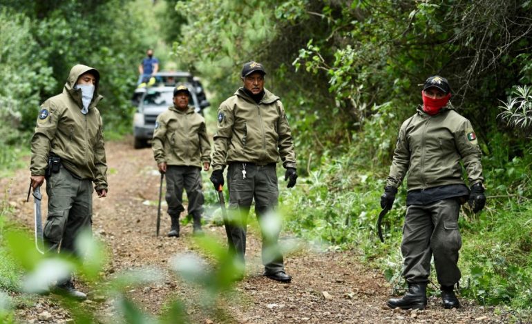 Continuará batalla contra talamontes en CDMX: Martí Batres