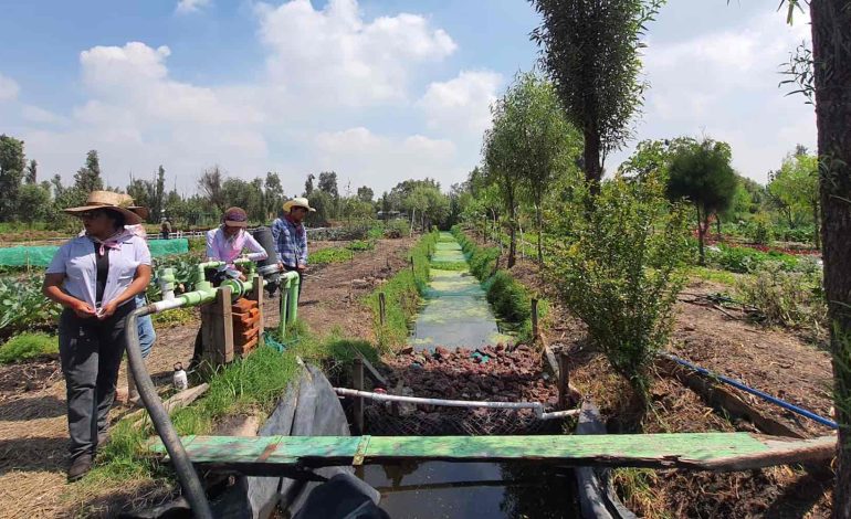 Xochimilco fomenta educación y cuidado del medio ambiente