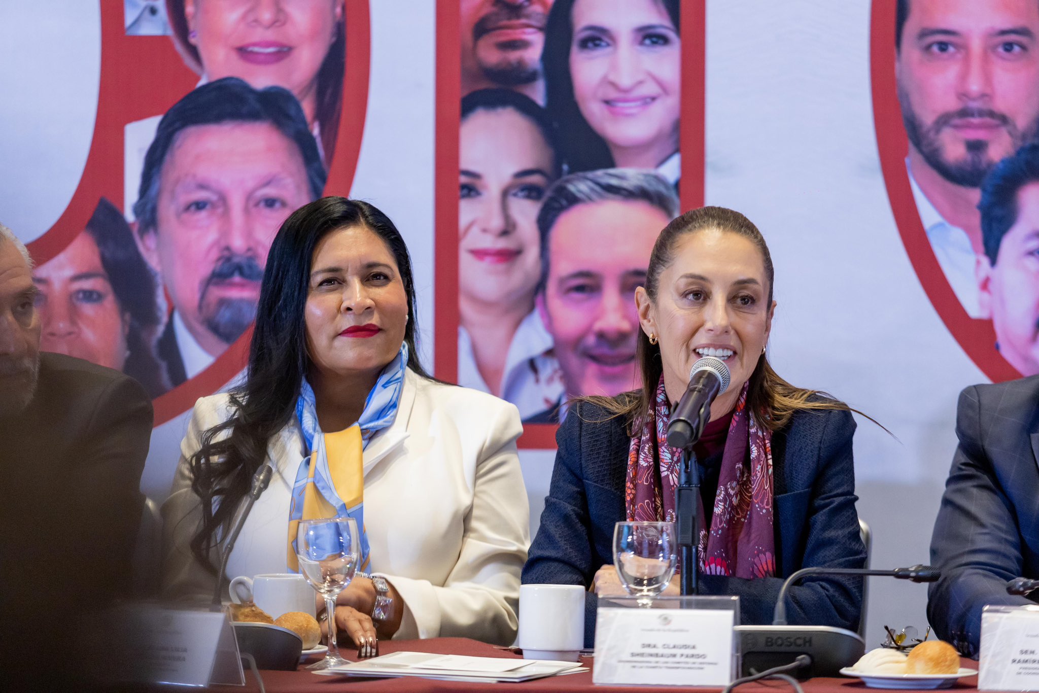 Destaca Ana Lilia Rivera logros legislativos de Morena