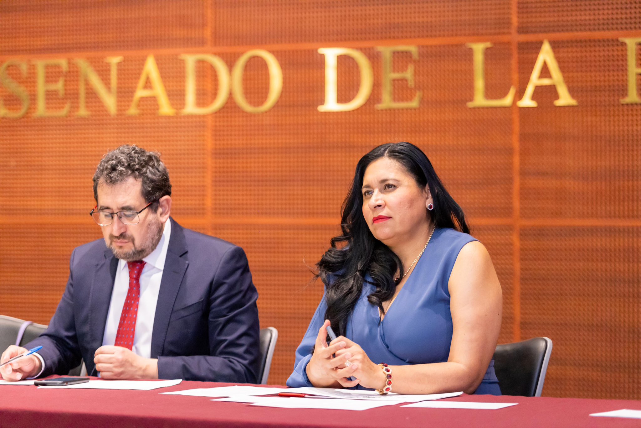 Ana Lilia Rivera expresa su beneplácito por suspensión de la "Ley SB4" en Texas